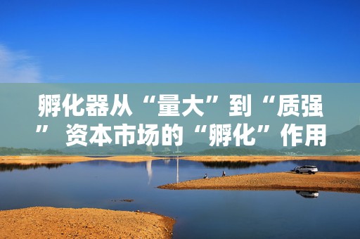 孵化器从“量大”到“质强” 资本市场的“孵化”作用不可缺