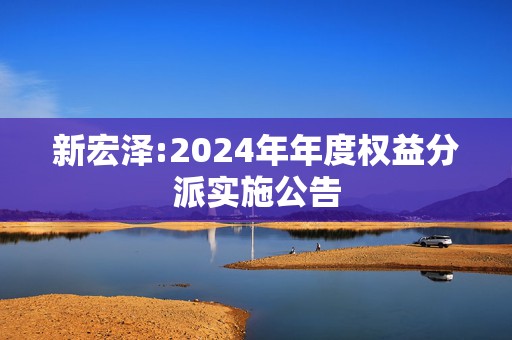 新宏泽:2024年年度权益分派实施公告