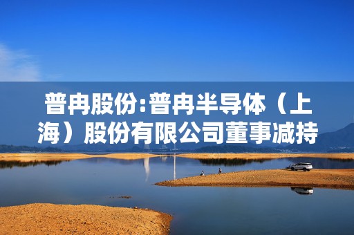 普冉股份:普冉半导体（上海）股份有限公司董事减持股份计划公告
