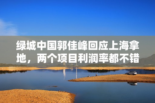 绿城中国郭佳峰回应上海拿地，两个项目利润率都不错