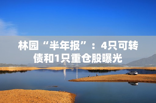 林园“半年报”：4只可转债和1只重仓股曝光  第1张