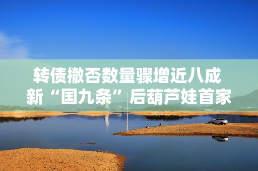 转债撤否数量骤增近八成 新“国九条”后葫芦娃首家被否透露哪些信号？  第1张