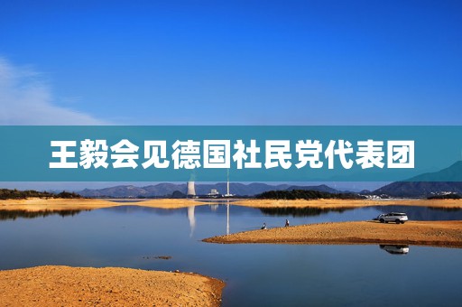 王毅会见德国社民党代表团