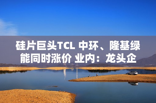 硅片巨头TCL 中环、隆基绿能同时涨价 业内：龙头企业应继续控制生产负荷，让价格回归理性