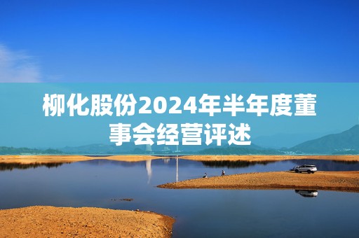 柳化股份2024年半年度董事会经营评述  第1张