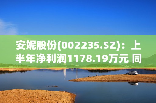 安妮股份(002235.SZ)：上半年净利润1178.19万元 同比增长45.25%  第1张