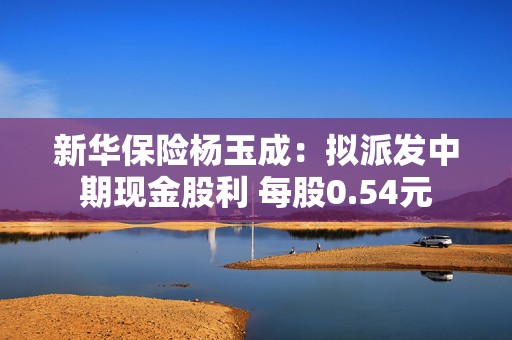 新华保险杨玉成：拟派发中期现金股利 每股0.54元  第1张