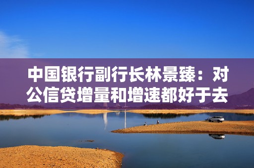 中国银行副行长林景臻：对公信贷增量和增速都好于去年同期 将进一步优化信贷结构