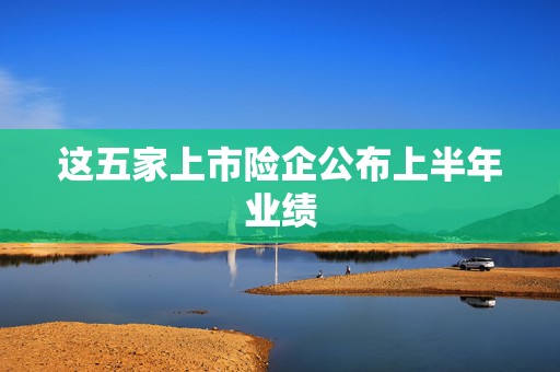 这五家上市险企公布上半年业绩