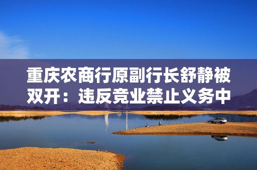 重庆农商行原副行长舒静被双开：违反竞业禁止义务中饱私囊，将金融审批权作为敛财工具  第1张
