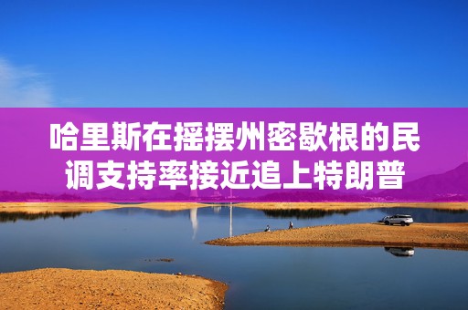 哈里斯在摇摆州密歇根的民调支持率接近追上特朗普  第1张