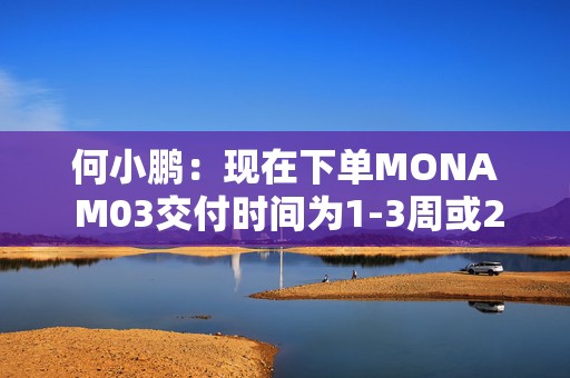 何小鹏：现在下单MONA M03交付时间为1-3周或2-4周  第1张